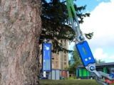 TRU樹木雷達、Picus 3和TreeQinetic樹木拉伸測試儀落戶長春市園林植物保護站